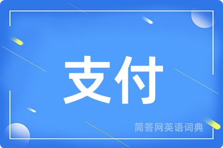 支付用英语怎么说,支付的英语翻译 支付