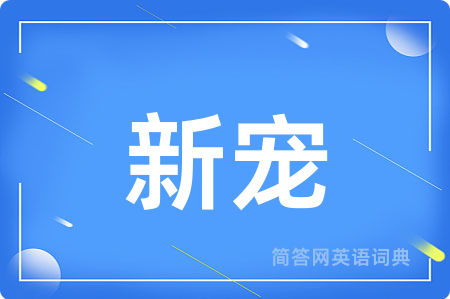 新宠