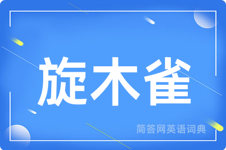 旋木雀用英语怎么说,旋木雀的英语翻译 旋木雀