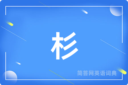 杉用英语怎么说,杉的英语翻译 杉