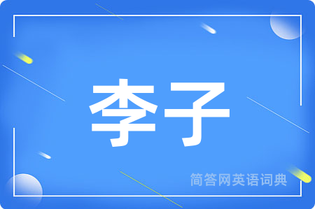李子用英语怎么说,李子的英语翻译 李子