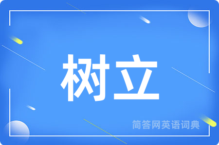 树立