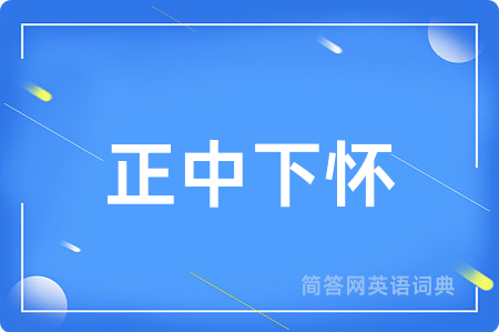 正中下怀
