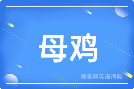 母鸡用英语怎么说,母鸡的英语翻译 母鸡