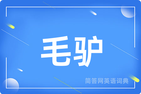 毛驴