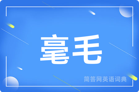 毫毛
