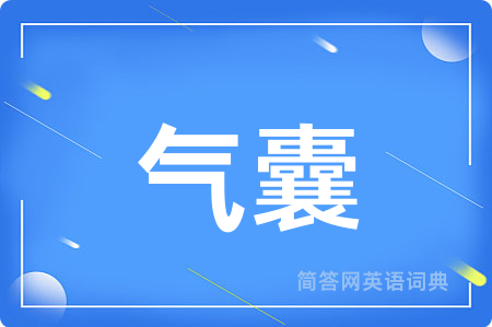 气囊