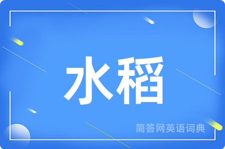 水稻用英语怎么说,水稻的英语翻译 水稻
