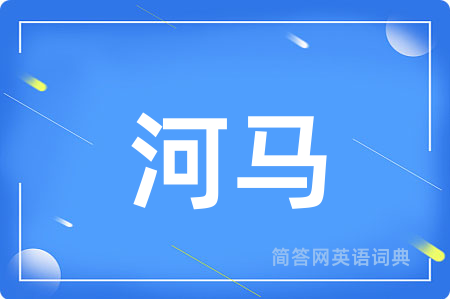 河马用英语怎么说,河马的英语翻译 河马