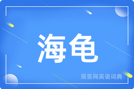 海龟