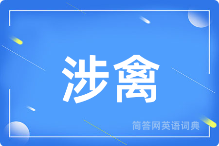 涉禽