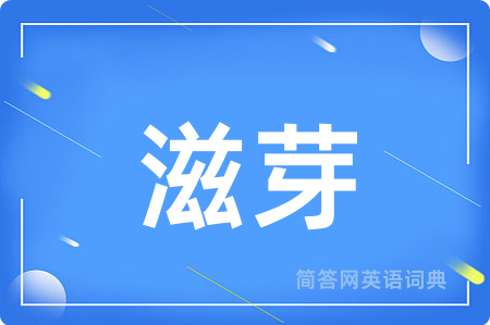 滋芽