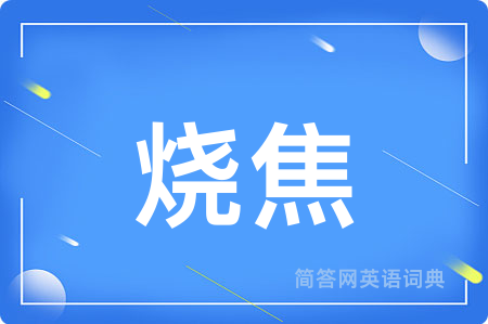烧焦用英语怎么说,烧焦的英语翻译 烧焦