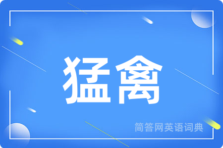 猛禽