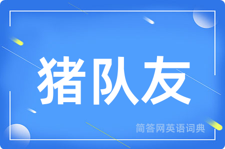猪队友