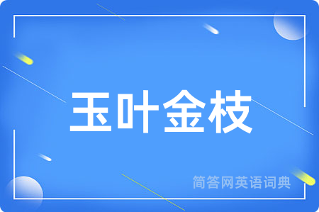 玉叶金枝