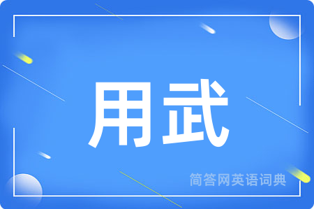 用武