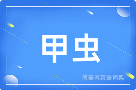 甲虫