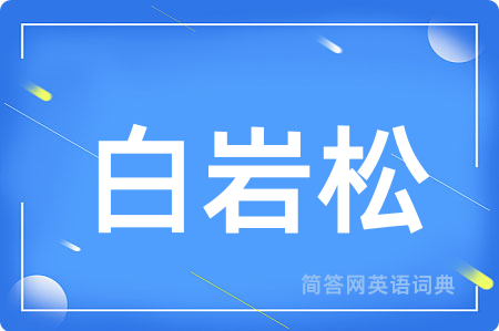 白岩松