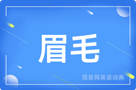 眉毛用英语怎么说,眉毛的英语翻译 眉毛