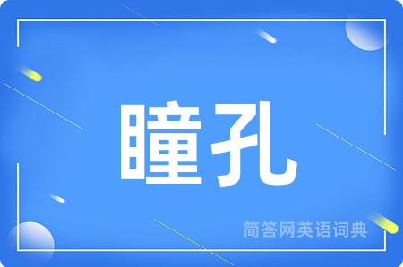 瞳孔用英语怎么说,瞳孔的英语翻译 瞳孔
