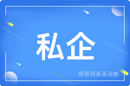 私企