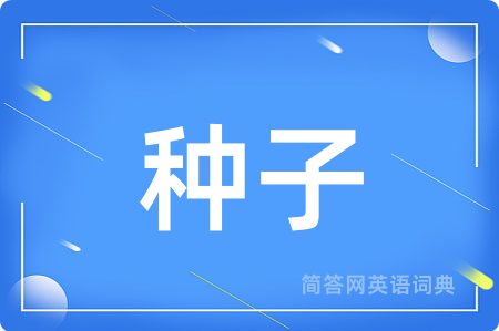 种子