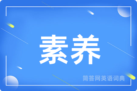 素养用英语怎么说,素养的英语翻译 素养