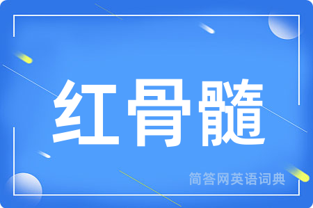 红骨髓