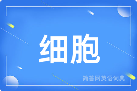 细胞