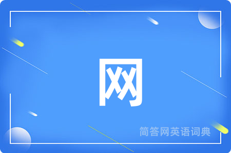 网用英语怎么说,网的英语翻译 网