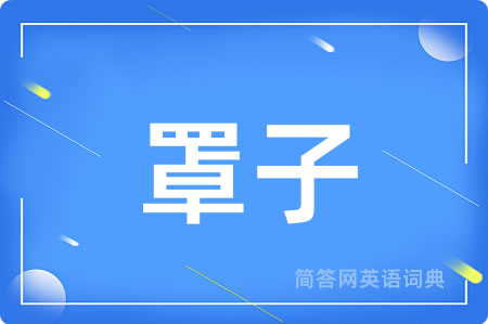 罩子