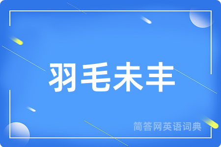羽毛未丰
