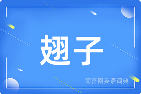 翅子