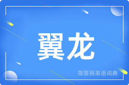 翼龙