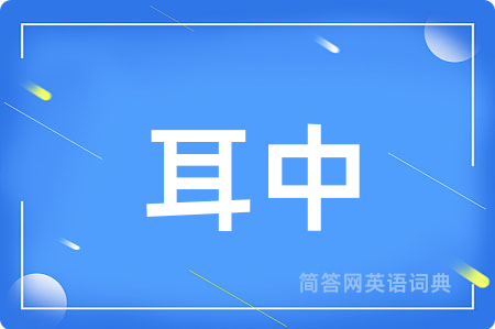 耳中