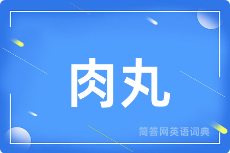 肉丸用英语怎么说,肉丸的英语翻译 肉丸