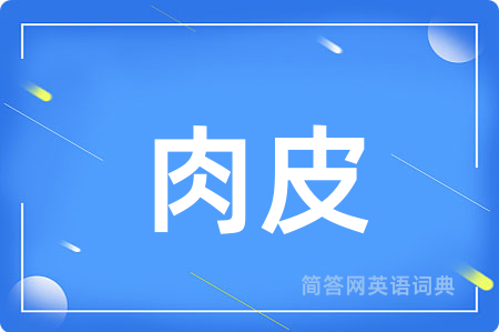 肉皮