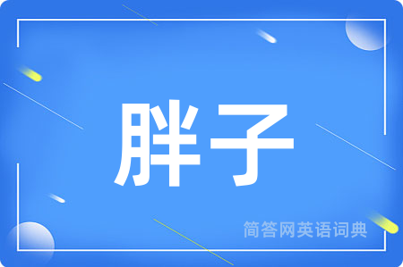 胖子用英语怎么说,胖子的英语翻译 胖子