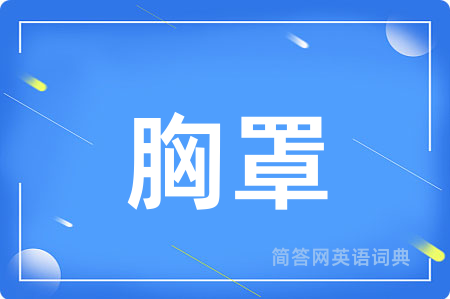 胸罩用英语怎么说,胸罩的英语翻译 胸罩
