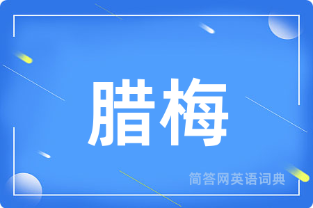 腊梅