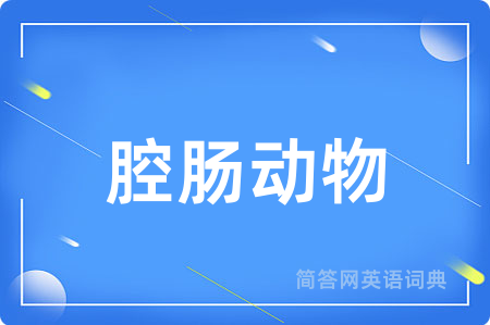 腔肠动物用英语怎么说,腔肠动物的英语翻译 腔肠动物