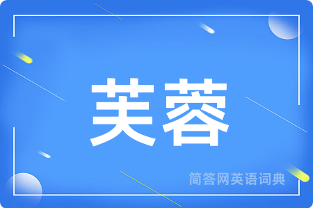 芙蓉