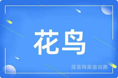 花鸟