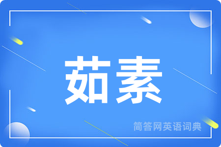 茹素用英语怎么说,茹素的英语翻译 茹素