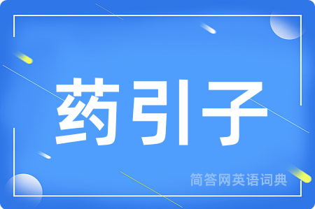 药引子