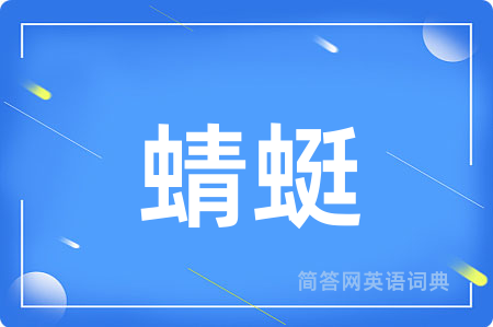 蜻蜓