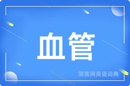 血管