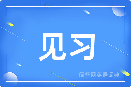 见习用英语怎么说,见习的英语翻译 见习