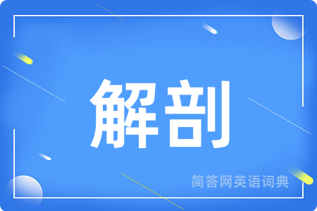 解剖